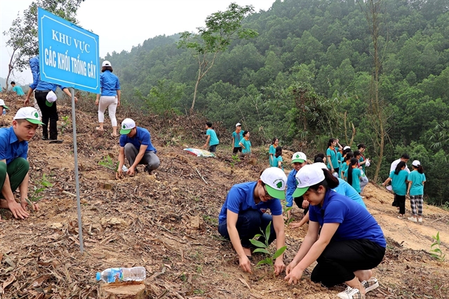 นักเรียนในจังหวัดตอนเหนือของประเทศช่วยกันปลูกต้นไม้