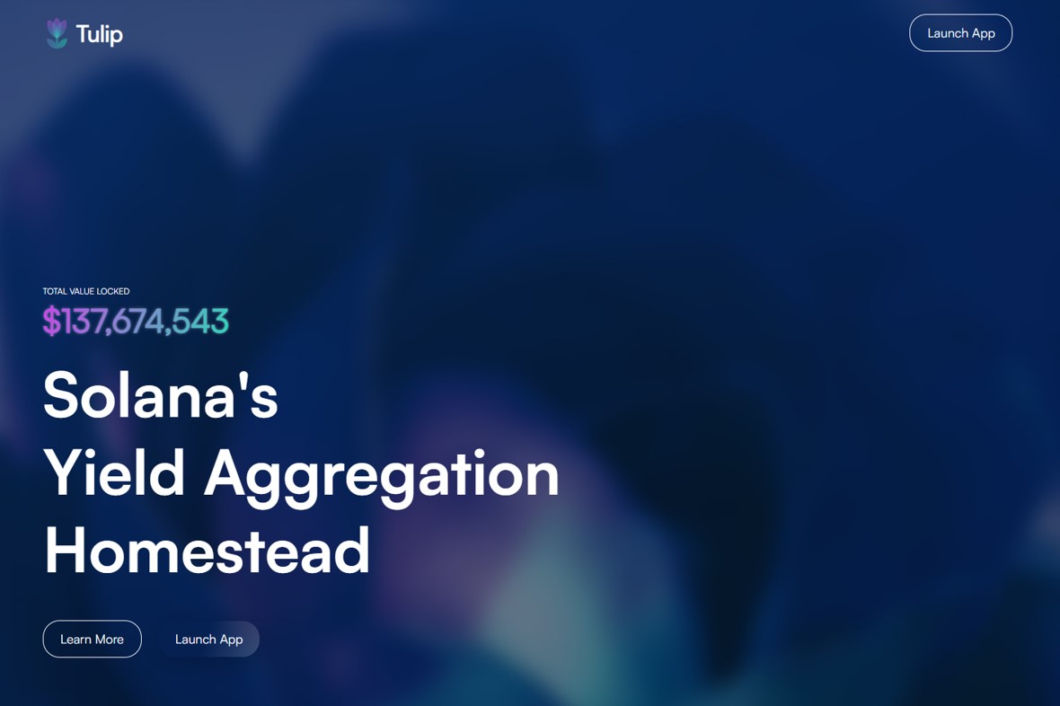 แนะนำฟังก์ชั่นเจ๋งๆ ของธุรกิจ Leverage Farming ที่ชื่อ Tulip บนบล็อคเชน  Solana - BrandThink